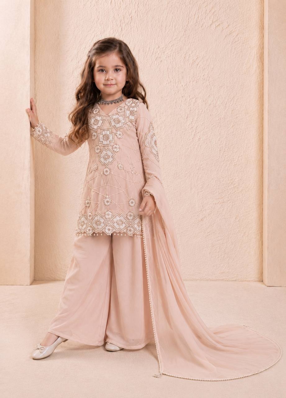 Fox Georgette Embroidered Palazzo Suit