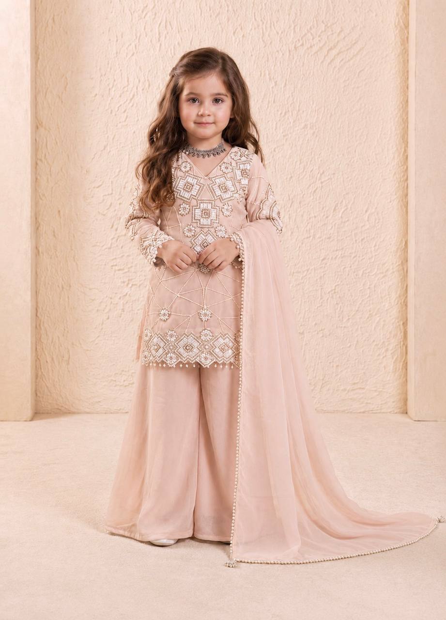 Fox Georgette Embroidered Palazzo Suit