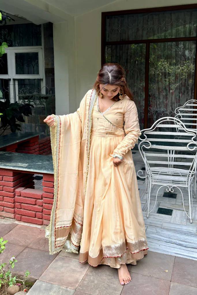 Mirror Work Tabby Organza Silk Anarkali Set