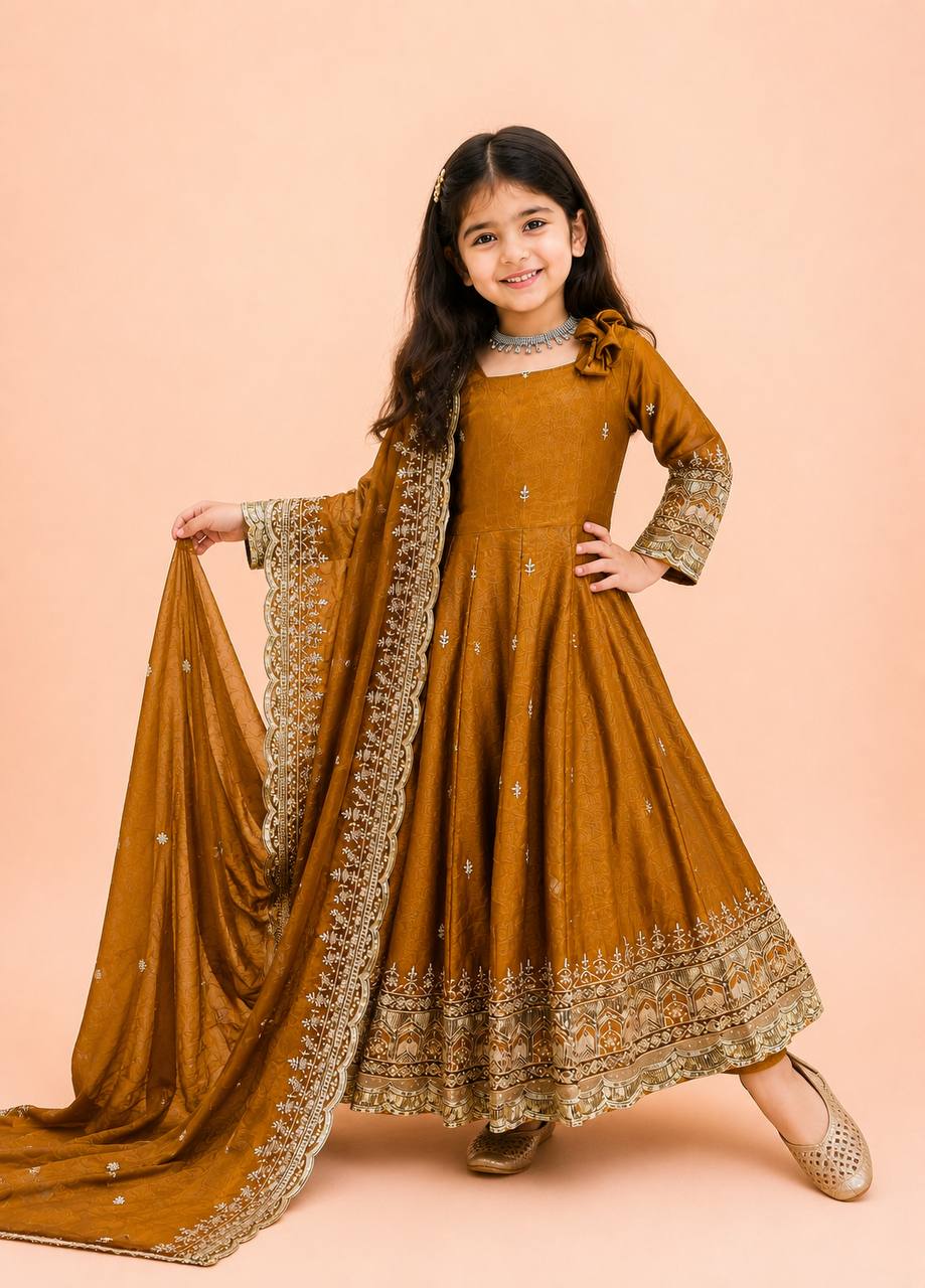 Fendy Silk Embroidered Gown Set