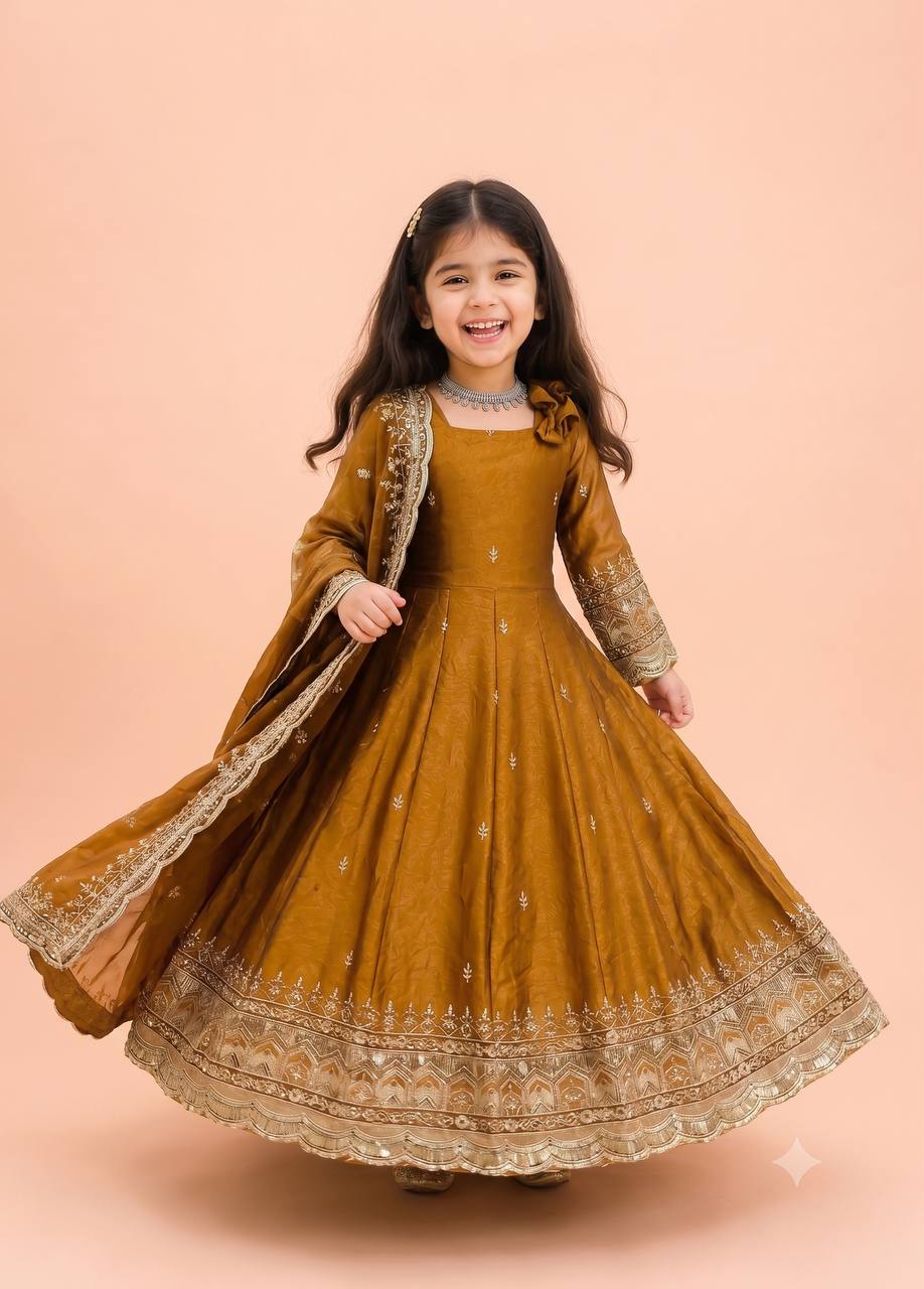 Fendy Silk Embroidered Gown Set