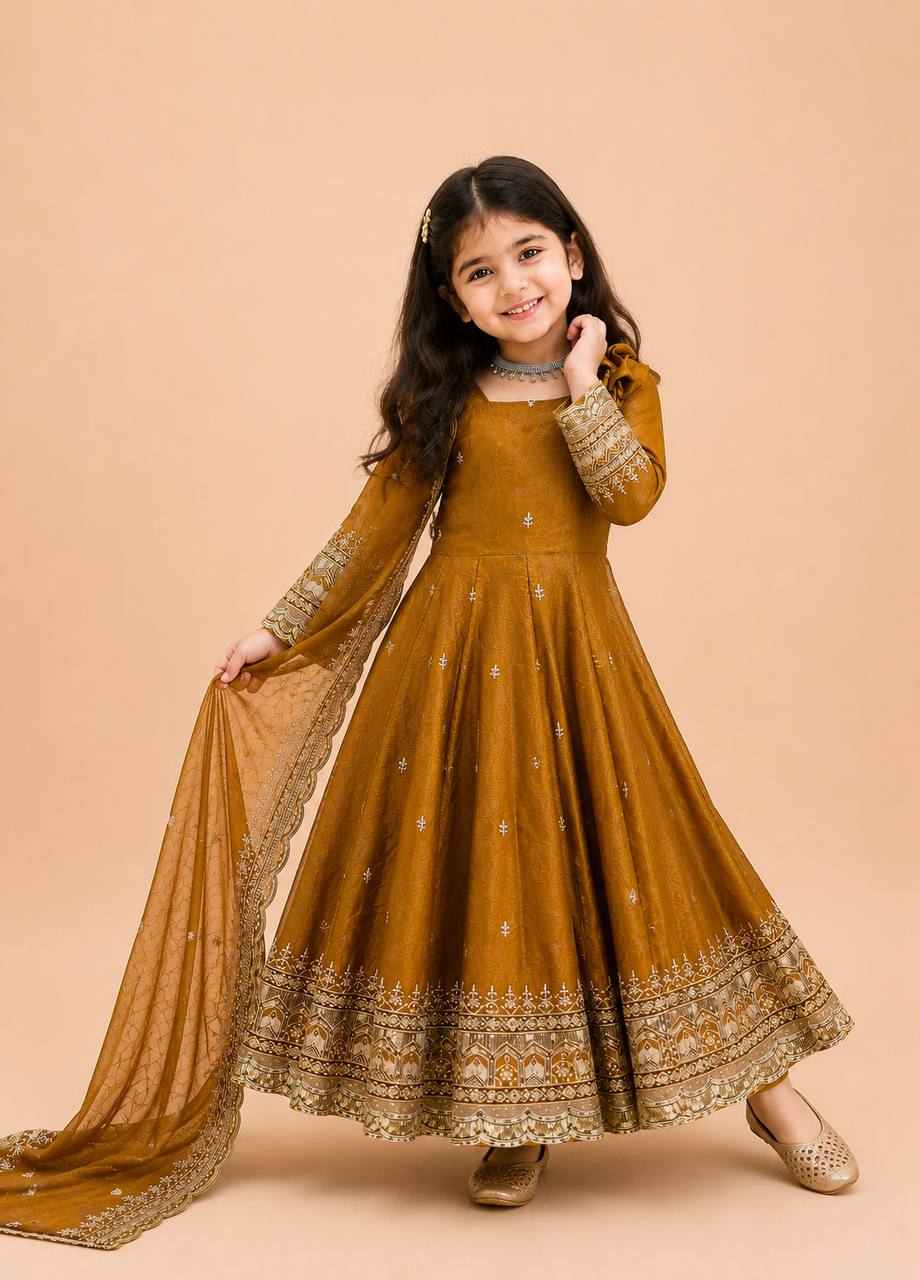 Fendy Silk Embroidered Gown Set